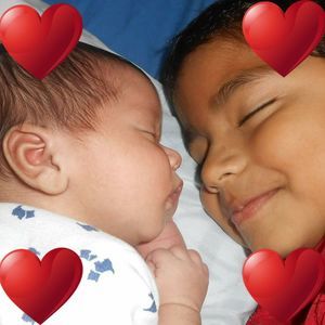 Meet your Posher, Rosy